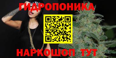 ешки Новозыбков