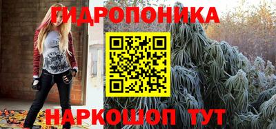 молекула духа Новокубанск