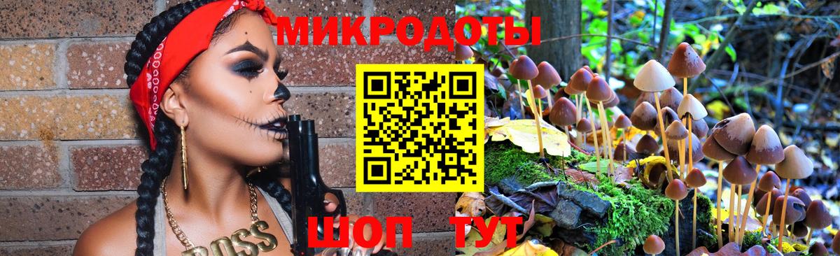 Псилоцибиновые грибы мухоморы  Вход с VPN  Прокопьевск  Галлюциногенные грибы MAGIC MUSHROOMS 